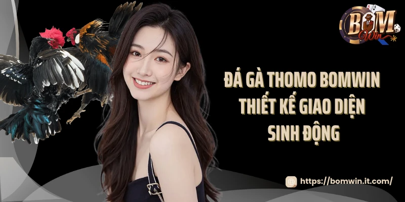 Đá gà thomo Bomwin thiết kế giao diện sinh động