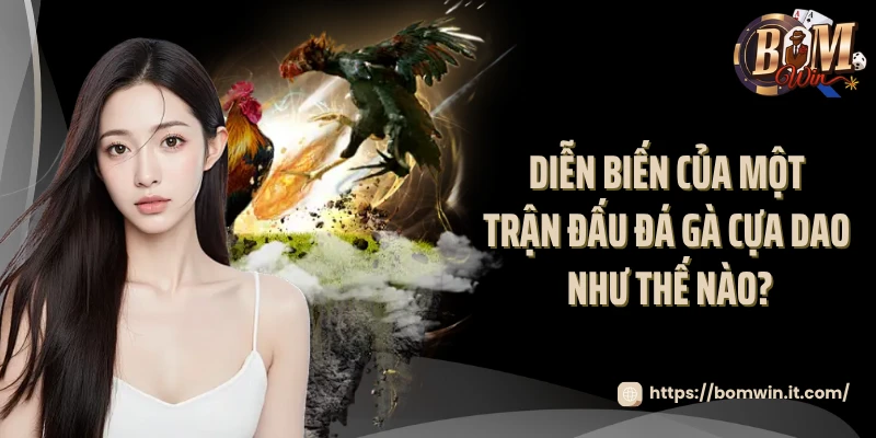 Đá Gà Cựa Dao Bomwin - Livestream Các Trận Đấu Mãn Nhãn 2025 Diễn biến của một trận đấu đá gà cựa dao như thế nào?