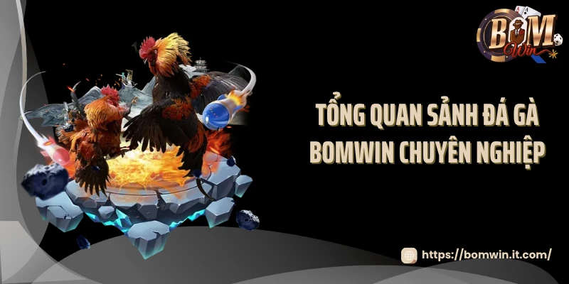 Tổng quan sảnh đá gà BOMWIN chuyên nghiệp